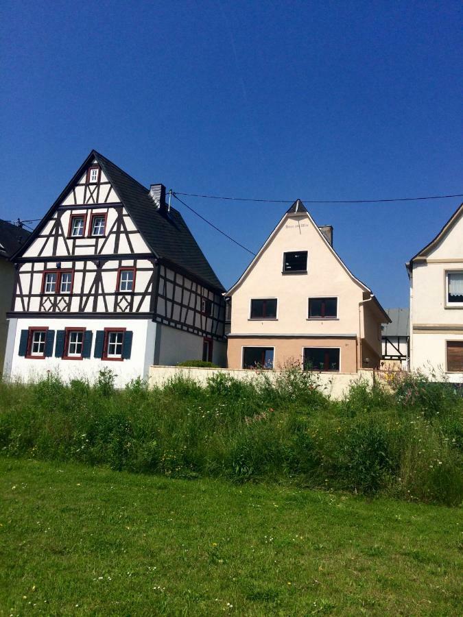 Apartament Haus Am Ufer Mit Rheinpanoramablick Koblencja Zewnętrze zdjęcie